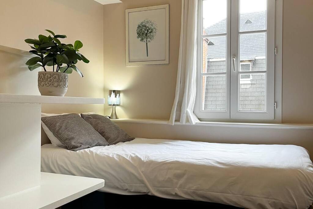 Apartament #Le Maillard #Grand F2 #Hyper Centre Brive-la-Gaillarde Zewnętrze zdjęcie